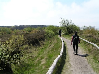 Vielfältige Natur rund um Cuxhaven (z.B. Heide & Moore)