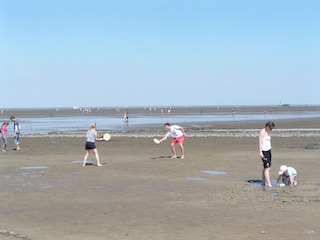 Fun and games in the mile-long mudflats