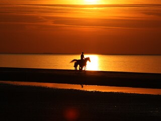 Appartamento per vacanze Oostkapelle Ambiente 13