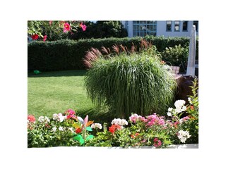 Garten mit Liegestühle