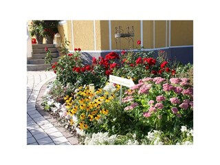 Blumen sagen mehr als Worte