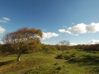 Casa per le vacanze Domburg Ambiente 17