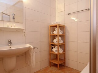 4.2 Badezimmer Alpine 3