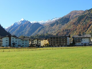 IMG_0537