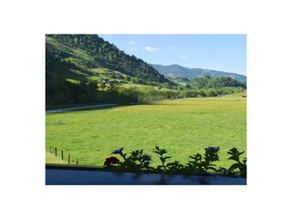 Ausblick