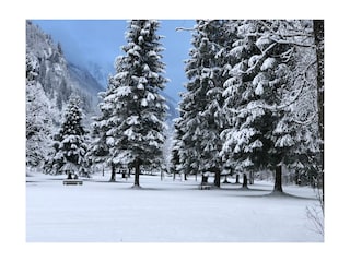 Rund um die Künstleralm