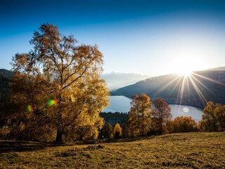 Goldener Herbst