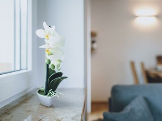 Website-werent-hochtennstrasse-mai22-0026