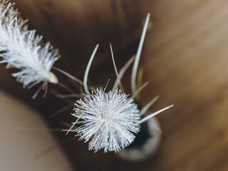 Website-werent-hochtennstrasse-mai22-0025