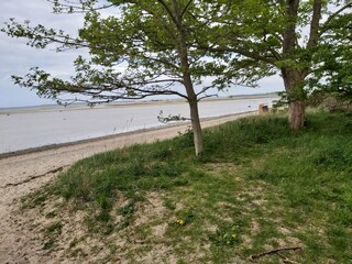 Appartamento per vacanze Am schwarzen Busch Ambiente 32