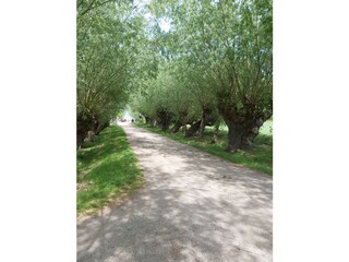 Apartamento de vacaciones Am schwarzen Busch Entorno 33