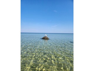 Appartamento per vacanze Am schwarzen Busch Ambiente 35