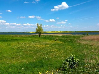 Appartamento per vacanze Am schwarzen Busch Ambiente 31