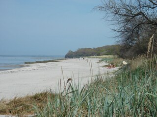 Appartamento per vacanze Am schwarzen Busch Ambiente 28