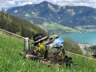 Bild Rucksack Sommer 5