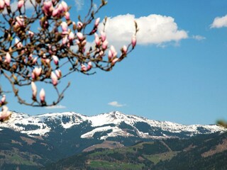 exklusive-appartment-kaprun-urlaub10