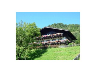 Sommer - Vorderansicht