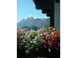 Sommer - Blick aufs Kitz