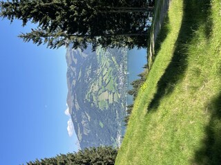 Schwaiger Appartements Sommer 5