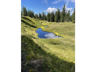 Schwaiger Appartements Sommer 8