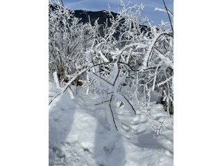 Schwaiger Appartements Winter 9