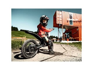 sommer---schmidolins-feuerstuhl---felsch