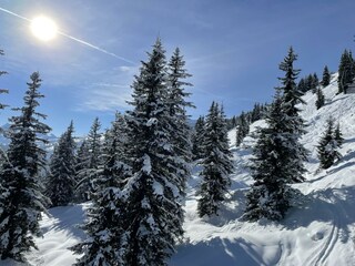 Schwaiger Appartements Winter 8