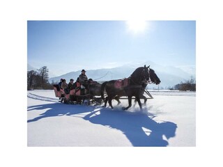 winter---pferdeschlittenfahrt-in-atemberaubender-k
