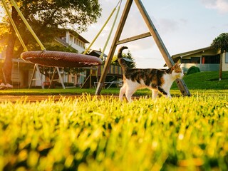 Apartamento de vacaciones Faak am See Grabación al aire libre 10