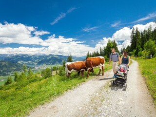 maiskogel_wandern_kinderwagen-c-maiskogel-betriebs