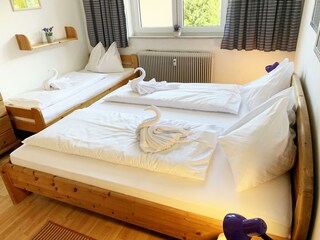 Alpine Home Bedroom 2