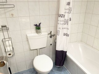 Alpine Home Bathroom 2