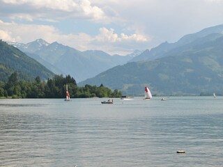 Zeller See - 100m entfernt