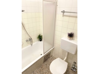 Deluxe Studio Bathroom Shower