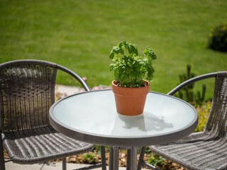 Dein Urlaubszuhause bei uns - das Burghard