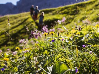 Appartamento per vacanze Schröcken Ambiente 20