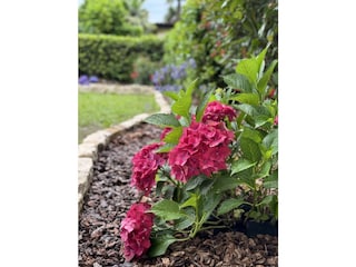 Ferienwohnung Brezzo di Bedero Außenaufnahme 3