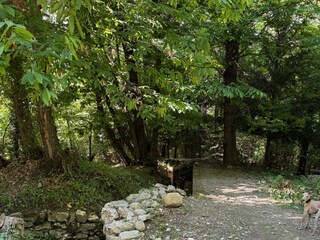 Ferienwohnung Brezzo di Bedero Umgebung 24