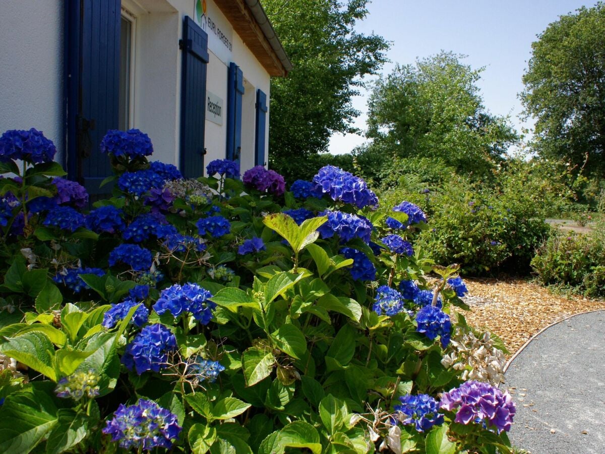 Ferienhaus Les Forges Außenaufnahme 1