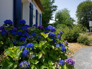 Ferienhaus Les Forges Außenaufnahme 12