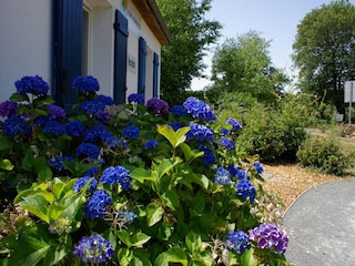 Ferienhaus Les Forges Außenaufnahme 7