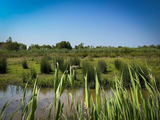 Casa per le vacanze Eastermar Ambiente 26