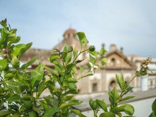 Appartement Palermo Environnement 22