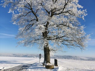 Winter in der Vulkaneifel