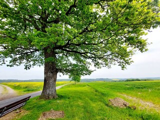 Frühling in der Vulkaneifel
