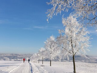Winterlandschaft Lutzerath