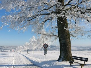 Winterlandschaft Eifel