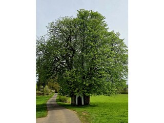 Gebetsstätte Kapelle