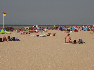 Strand und Meer Ouddorp