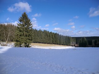 Casa per le vacanze Auerbach im Vogtland Registrazione all'aperto 13